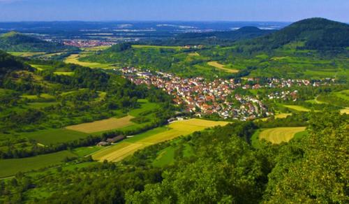 ジンスハイムにあるGasthaus Löwenの丘陵の村の空中風景