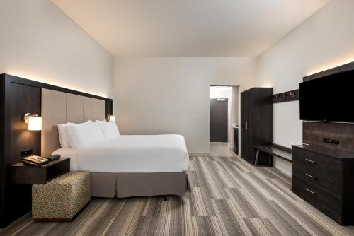 um quarto de hotel com uma cama e uma televisão em Holiday Inn Express & Suites Lakeland South, an IHG Hotel em Lakeland
