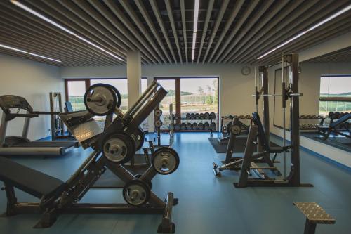 a gym with several treadmills and weights at Statek česká lípa Myslovice in Klatovy