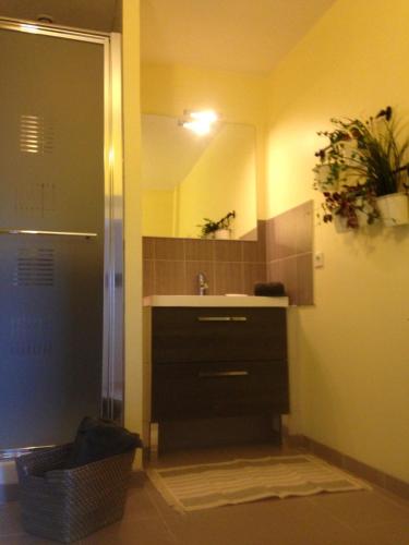 une salle de bain avec un lavabo et un miroir dans l'établissement Gite Maison Narbay, à Saint-André-de-Seignanx