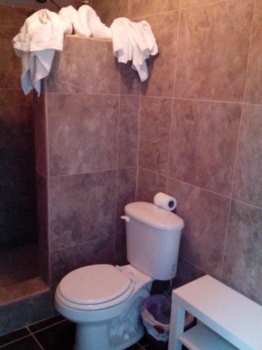 a bathroom with a toilet and towels on a wall at La Vid Posada Inn in Valle de Guadalupe