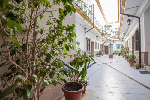 Maravilloso dúplex en Sevilla Escoberos
