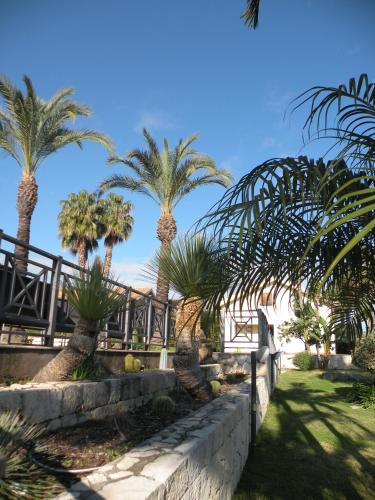 a row of palm trees in front of a fence at Hotel La Cavalera in Augusta