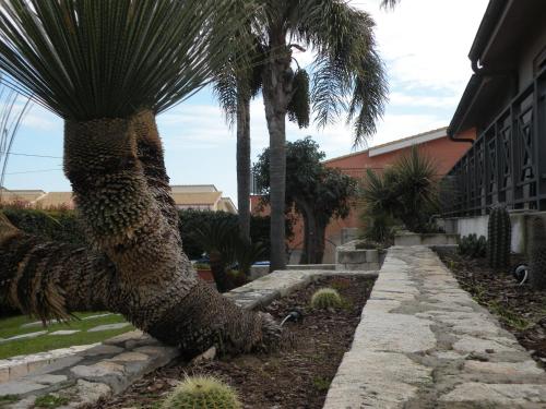 a palm tree in front of a house at Hotel La Cavalera in Augusta