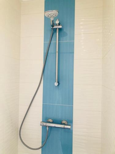 a shower in a bathroom with a shower head at Ferienhaus Ooghduyne 176 in Julianadorp