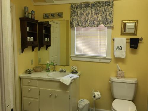 a bathroom with a sink and a toilet and a mirror at Magnolia Cottage Bed and Breakfast in Natchez