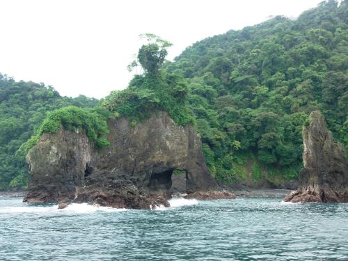 ホテルの近くで見られる自然の景観