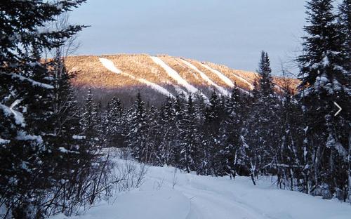 a snow covered hill with trees in the background at Le Ti Moose in La Malbaie