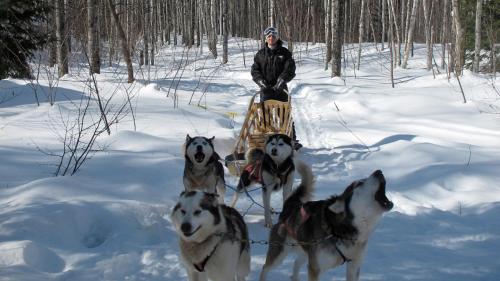 a man on a sled with four dogs in the snow at Le Bivouac - Les Chalets Spa Canada in La Malbaie