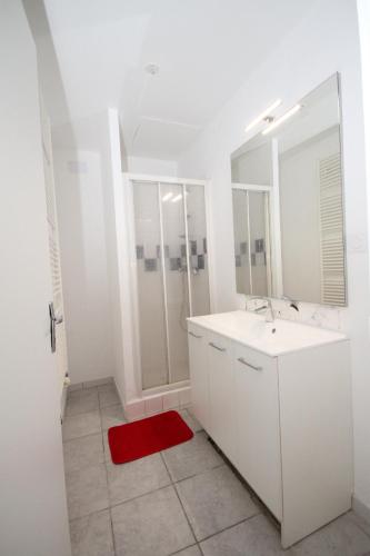 La salle de bains est pourvue d'un lavabo blanc et d'un tapis rouge. dans l'établissement Appartement Le roi, à Vesoul