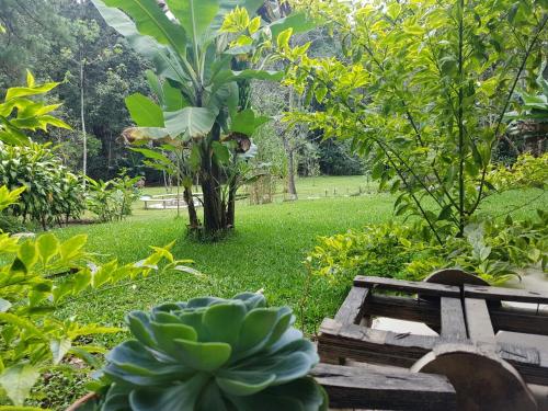 Paraíso San Joséにある庭