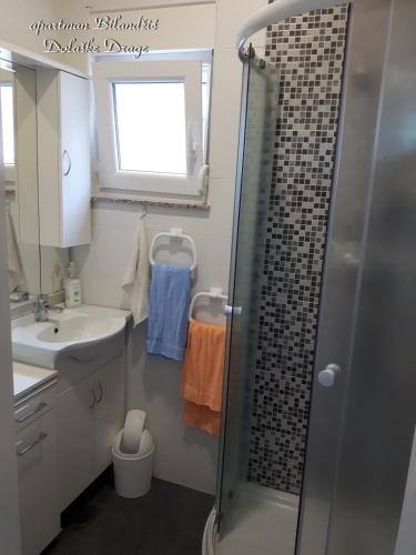 a bathroom with a shower and a sink at Apartman Bilandžić Drage in Drage
