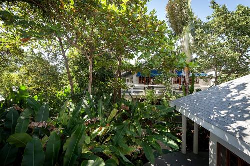 a garden with trees and plants in front of a house at Beach House Condos, Negril in Negril