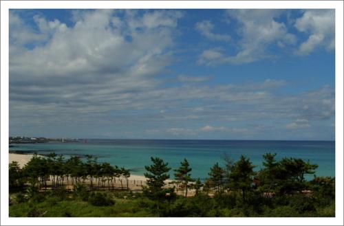 a view of a beach with trees and the ocean at 오후여섯시펜션 in Jeju