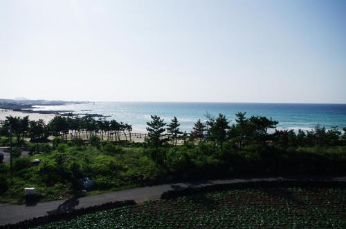 a view of the beach and the ocean at 오후여섯시펜션 in Jeju