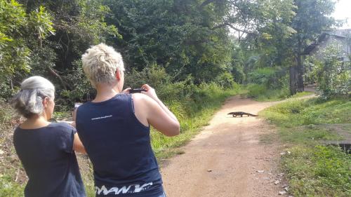 two people taking a picture of a dog on a dirt road at Priyanna Guest, Forest view in Polonnaruwa