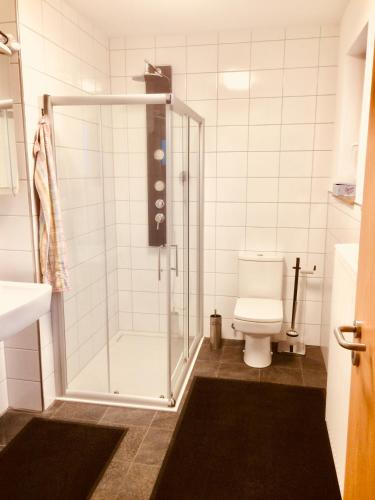 a bathroom with a shower and a toilet at Kaisers Ferienhof in Hallenberg