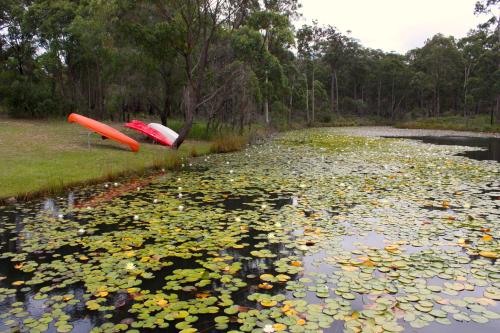 a couple of boats sitting on top of a pond at Valley View Luxury Retreat in Vacy