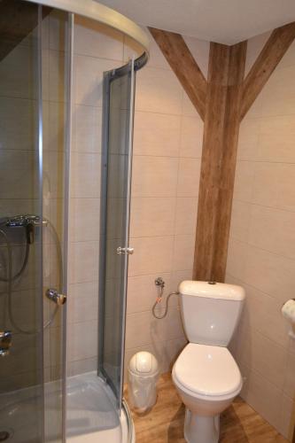 a bathroom with a toilet and a glass shower at Durda in Poronin