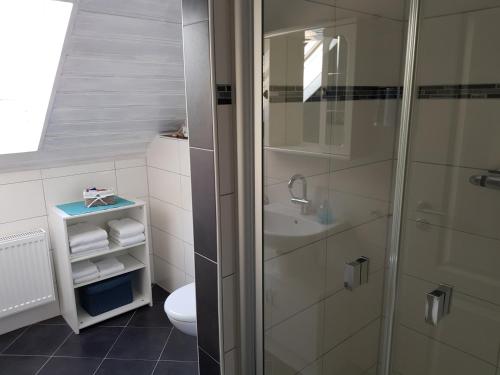 a bathroom with a shower and a toilet and a sink at Harzer Auszeit in Hattorf