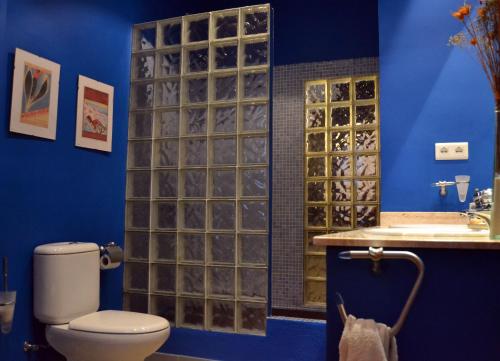 a bathroom with a shower with a toilet and a sink at Villa La Roca in Montecorto