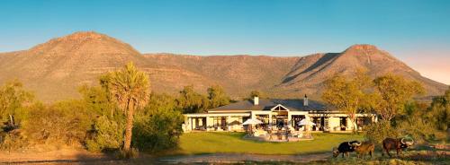 a house with cows in front of a mountain at Samara Karoo Reserve in Graaff-Reinet