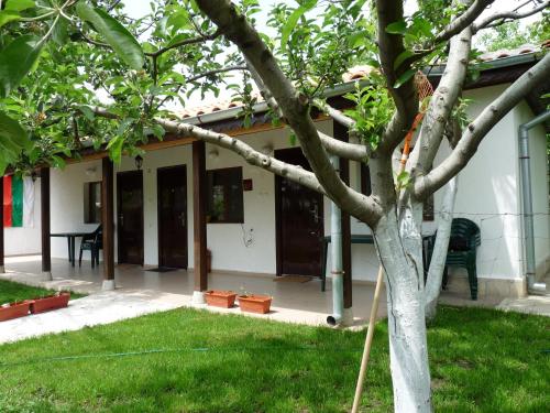 Gallery image of Guest House Ivanovi in Banya