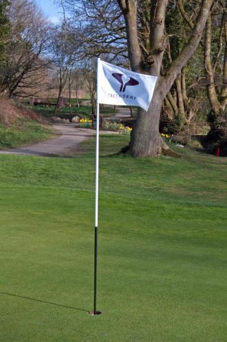 a white flag on a golf course with a tree at Trethorne Hotel & Golf Club in Launceston