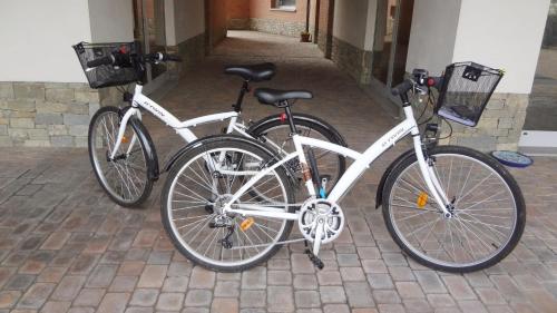 Jazda na bicykli v okolí ubytovania La trifula bianca apts.