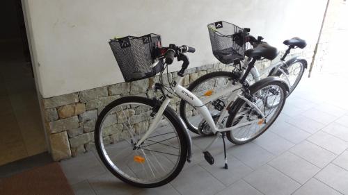 two bikes are parked next to a wall at La trifula bianca apts. in Alba