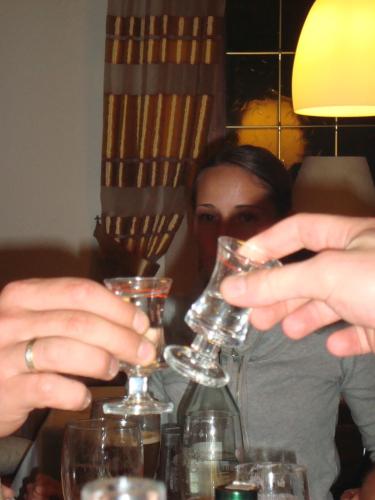 a woman holding up a glass of wine at Landhotel Rangau Gasthof & Brennerei in Markt Erlbach