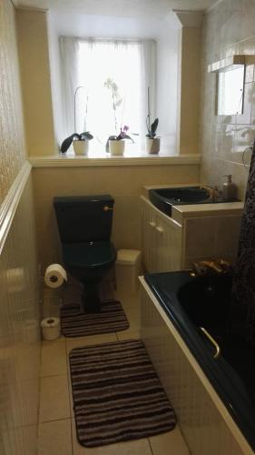 a bathroom with a toilet and a window with potted plants at Victoria Hotel in Blairgowrie