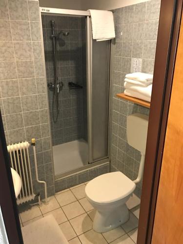 a bathroom with a toilet and a shower at Pension Babenberger in Melk
