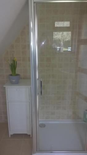 a bathroom with a shower with a glass door at Rosebank B&B in Etchingham