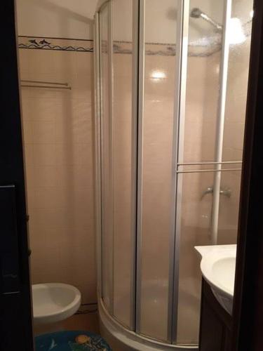 a bathroom with a shower and a toilet and a sink at Casa da Samouqueira in Rogil