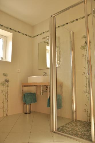 une salle de bain avec douche et lavabo dans l'établissement la grange aux hirondelles, à Athienville