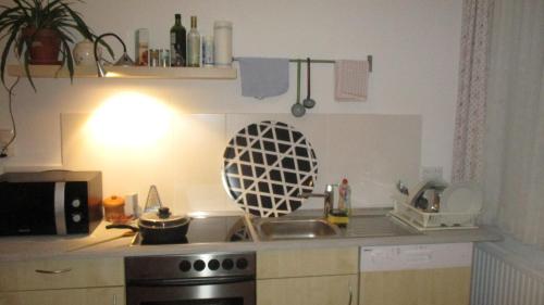 Wohnung in Haiding/Welsにあるキッチンまたは簡易キッチン