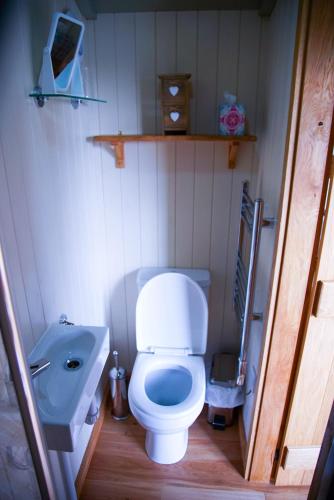 a small bathroom with a toilet and a sink at Storws Y Gorlan Shepherd's Hut in Valley