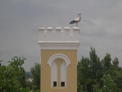 a bird sitting on the top of a tower at Quinta de Coalhos TH in Abrantes