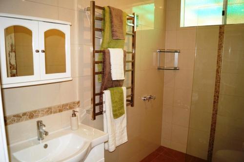 y baño con lavabo y ducha. en Eagle's View Cottage - Yarra Valley, en Wandin North