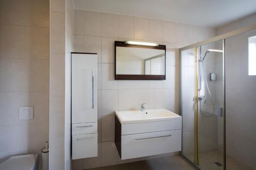 a bathroom with a sink and a shower at Blue Bay Apartments in Sint Michiel