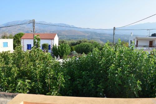 a view from the roof of a house with bushes at Venetian Cistern Villa in Kalamítsion Alexándrou