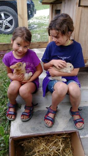 two young girls sitting on a bench holding kittens at Rüggenhütte in Hochfeistritz