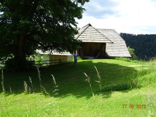 a person standing in front of a barn at Rüggenhütte in Hochfeistritz