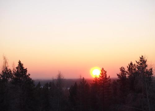 a sunset over a forest with trees in the foreground at Hotel Julie in Joensuu