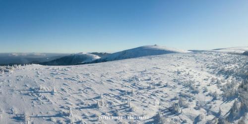 a snow covered slope with trees on a mountain at LE QUARTZ DES HAUTES-VOSGES in Xonrupt-Longemer