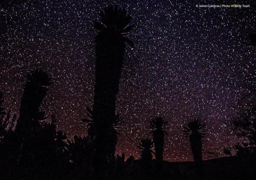 El ÁngelにあるPolylepis Lodgeのギャラリーの写真