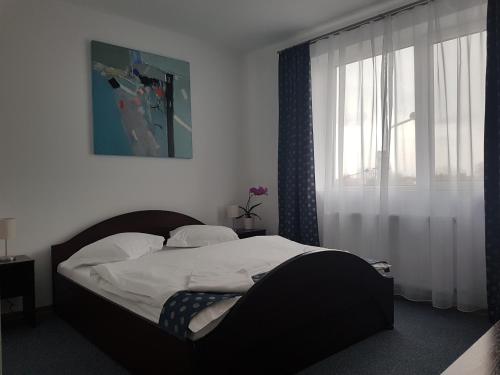 a bedroom with a large bed with a window at Pension Yasmine in Timişoara
