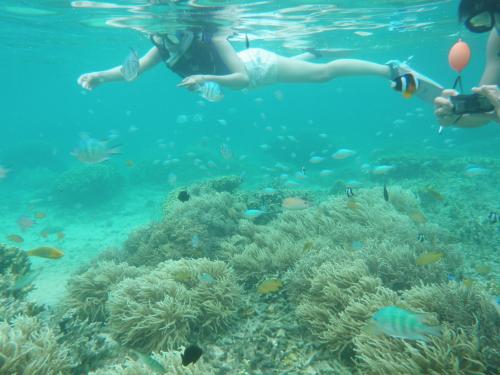 Hosté ubytování Okinawa Hostel Yanbaru Fukuro