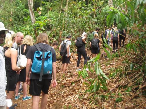 a group of people walking on a trail in the jungle at Camp Bastian Mikumi in Mikumi